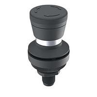 RAFI 1.11.061.001/0001 ປຸ່ມກົດສະລັບ RAMO 30 T M12 2 unbel. 4-pol