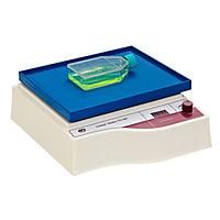 HINOTEK TS-100 Decoloring Shaker (40 ~ 240 RPM)