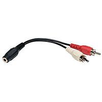 Tripp Lite P316-06N ສາຍຕໍ່ Adapter 6" AUD Y ADPTR,3.5MM F/2XRCA-M
