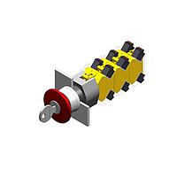 EAO 704.078.018 ຮັກສາໄວ, ຫົວເຫຼັກເຫຼືອງ