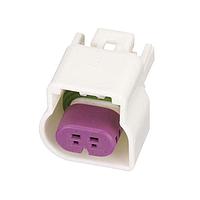 Aptiv 13542790 2-Way CON GT150 2W FEM ASY