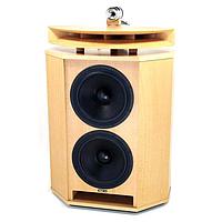 VISATON 5957 ລະບົບລະດັບສຽງ LS-KIT MONITOR890MKIII PAIR