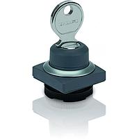 RAFI 1.30.275.051/0100 ສະຫນອງສະຫນອງສະຫນອງ RAFIX Keylock switch 40