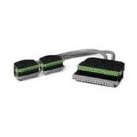PHOENIX CONTACT 2906884 ສາຍສື່ຕໍ່ຕ່າງ Interface Cable CAB-MSTB32/2XMC9/ 22/ 1,0M/C3/S