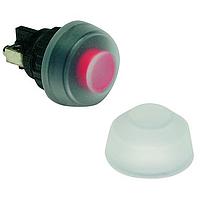 RAFI 5.52.008.115/0000 ຝາປຸ່ມສະຫງວນ / ຝາປຸ່ມສະຫງວນ ຝາປຸ່ມປິດກັນນ້ຳ ແຈ້ງແຈງ