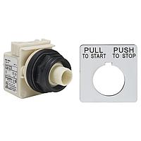 Square D 9001SKR9H13 ສະຫນັບສະຫນູນ Switch Hardware PSH BTTN 600VAC 10A 30MM SK