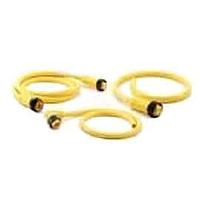 Amphenol SINE Systems MN54PD01M010 ເສັ້ນສາຍອ່ານສະເຫຼີມ / ເສັ້ນສາຍອັກຕູເວີ DeviceNet ທີກ ມິນິ Rec 5 Pin Female 1