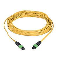 Panduit F9L12D5-5M10 ສາຍສົ່ງສະບັບແລະທາງຜ່ານ MTP*-MTP* LSZH Interconnect Cable Assemb