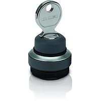 RAFI 1.30.275.102/0000 ສະວິດຊ໌ອັກຕູເວີ RAFIX Keylock switch 2x40