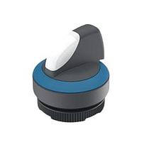 ສະຫຼອງການຄວບຄຸມ