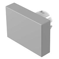 EAO 51-901.8 ເລນສ໌ PSHBUTN ACT 40MM W-ALM ທຳມະຊາດ