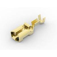 AMP Connectors - TE Connectivity 160773-1 ຕິດຕໍ່ POSITIVE LOCK RECPT ຊິ້ນແຍກ