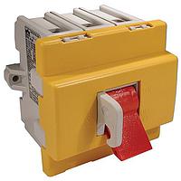 Altech EVA3160+K/EVAYR ຕັດການໄຟຟ້າມະໂຕ້ເຕີ MOTOR DISCONNECT SWITCH, 3POLE