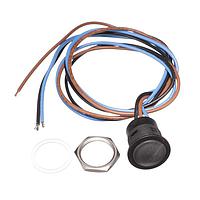 APEM IAR5F1200 ສະຫນັບ SWITCH PB LOW PROFILE IP67 BLK