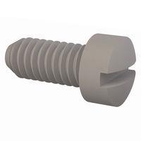 Essentra Components 010448F025 ກຸ່ມສະກຣູວິກເຄື່ອງຈັກ Fillister Slotted Screw, #4-48 Thread, 1/4 Lg