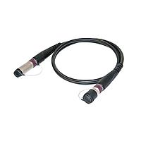 NEUTRIK NKO2S-XP-0-31 ສາຍເສັ້ນແສງ Fiber Optic Cable Assemblies opticalCON DRAGONFLY Cable 31 Meters