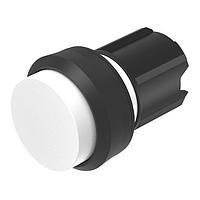 EAO 45-2131.1290.000 ສະຫນັກກົດສະຫນັກກົດປຸ່ມກົດປຸ່ມສີຂາວເລນສທີ່ຍົວຂຶ້ນຫຼາຍກວ່າຂອງກົດປຸ່ມຊຸດປະກອບດ້ານໜ້າ/ພາຍໃນພາສຕິກ