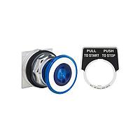 Square D 9001KR9P38LRRH2 ປຸ່ມກົດສະຫນອງ PSH BTTN 600VAC 10A 30MM, ປະເພດ K