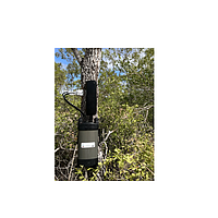 ICT International SFM1x-C ເຄື່ອງວັດການໄຫຼຂອງນ້ຳ Sap ພ້ອມການເຊື່ອມຕໍ່ IoT (-70 ~ +70 cm hr-1)