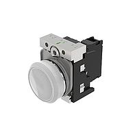 EAO 45-1T00.20N8.000.100 ອິນດິເຄດເຕີ (45-1T00.20N8.000.100)