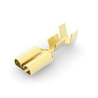 AMP Connectors - TE Connectivity 42100-1 ຮີເຊບເຕິເກລ .250 FLAG-FAST ມົນ 12000