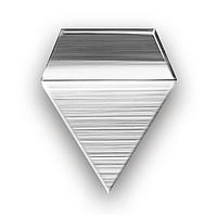 KERN 328-07 ນ້ຳໜັກທົດສອບ OIML F1 (100mg)