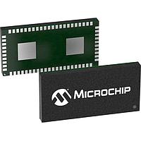Microchip Technology ZL30255LFF7 ຕົວຂະຫນາດເວລາຄອລອກຄູ່-ຊ່ອງ ຕົວຂະຫນາດເວລາຄອລອກທຸກ-ໃດ-ທຸກ-ໃດ ແລະ ການປ່ຽນແປງ Jitter ມີ EEPROM