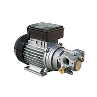 Piusi F0030403D ປ້ຳນ້ຳມັນເກຍ