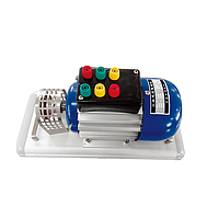 DOLANG DLDJ-ETM6314 ມໍເຕີ Asynchronous ສາມເຟດ