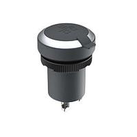 RAFI 1.10.099.201/0018 ປຸ່ມກົດສະຫນອງ RAMO 22 F RJ45 A-A chrome