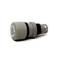 EAO 61-3440.4/8 ສະຫນັກສະຫນອງ Switch Actuators PB ACT RECT MOMMNT