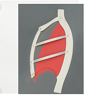 PHYWE KLA-130-141 Ribb ແລະ Abdominal Respiration Model ທີ່ເຮັດວຽກ