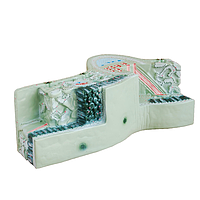 PHYWE MOD-LEAF ຮູບແບບໂຄງສ້າງຂອງໃບ (46 x 19 x 23 cm)