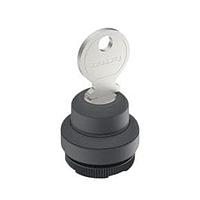 RAFI 1.30.275.101/0700 ສະຫນັບສະຫນູນ Keylock RAFIX 22 FS+ ສະຫນັບສະຫນູນ Keylock 2x40