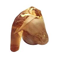 True Phantom Solutions BT-A01 ອະດຸດສະຫຼອງສະຖານະຜູ້ໃຫຍ່ (ຊັບຊ້ອນ) ສຳລັບ X-Ray CT, US, MRI