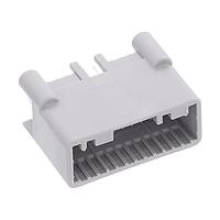 AMP Connectors - TE Connectivity 1612904-2 ສິເກນເຮດເດີ 025 24POS CAP ASY V TIN