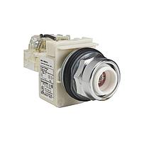 Square D 9001KT38LR ໄຟສະແດງ Pilot Light PILOTLIGHT 120VAC 30MM TYPE K