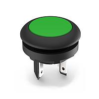 RAFI 1.15.210.001/0501 ປຸ່ມກົດ LUMOTAST 16 ປິດຜ່ານ