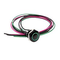 E-Switch PVA6REW4131 ປ້ອງກັນການທຳລາຍ Anti-vandal, SPST, Off-(On), ຕິດຕັ້ງບ່ອນປະຕູ, ດ້ານໜ້າ, ສີດໍາ, LED, ສີຂຽວ, IP67