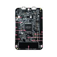 NXP FRDM-K32L2A4S ແພດຟອມພັດທະນາ FRDM-K32L2A4S