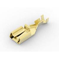 AMP Connectors - TE Connectivity 626581-1 Tab PL 250 REC 0.5-1.5 MM2 0.35X 26.54 BR