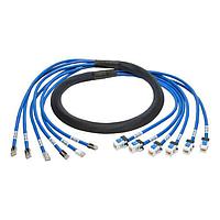 Tripp Lite N261-006-6MF-BL Cat 6 6FT CAT6A UTP TRUNK CBL ສີຟ້າ