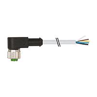 Murrelektronik 7000-12361-2350500 ເສັ້ນສາຍອຸປະກອນຈັດການ / ເສັ້ນສາຍອຸປະກອນຂັບ M12 ຍິງ 90 ມີເສັ້ນສາຍ, PUR 5x0.34 gy UL/CSA+ລັງລືບ 5m