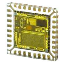 ອິນទີເກຣດຕວງເລືອກ