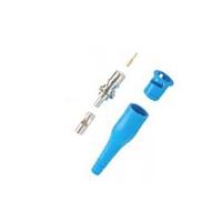 ຕົວກວດສອບສົງຄັນ