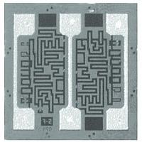 ຣີຊິສເຕີ