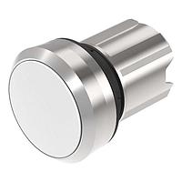 EAO 45-2231.21N0.000 ສະວິດຊ໌ ແອັກຊູເຕີ Metal 2Pos WHT LED Momen