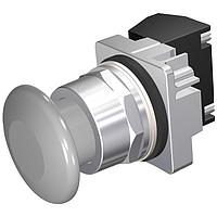 SIEMENS 52PM9W6H ປຸ່ມກົດ PUSHBUTTON,MOM,GRY,1 3/4" PLST,2POS,1BAH