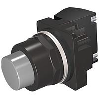 SIEMENS 52BM8B6H ປຸ່ມກົດ PUSHBUTTON,MOM,GRAY,EXTENDED,2POS,1BAH