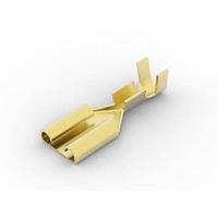 AMP Connectors - TE Connectivity 41968-2 ປຸ່ມຮັບ RECP, 250 ຊຸດ FASTON